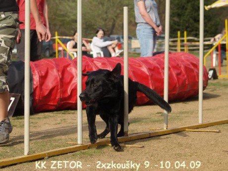 Brno 9-10[1].4.09 Lenny.jpg