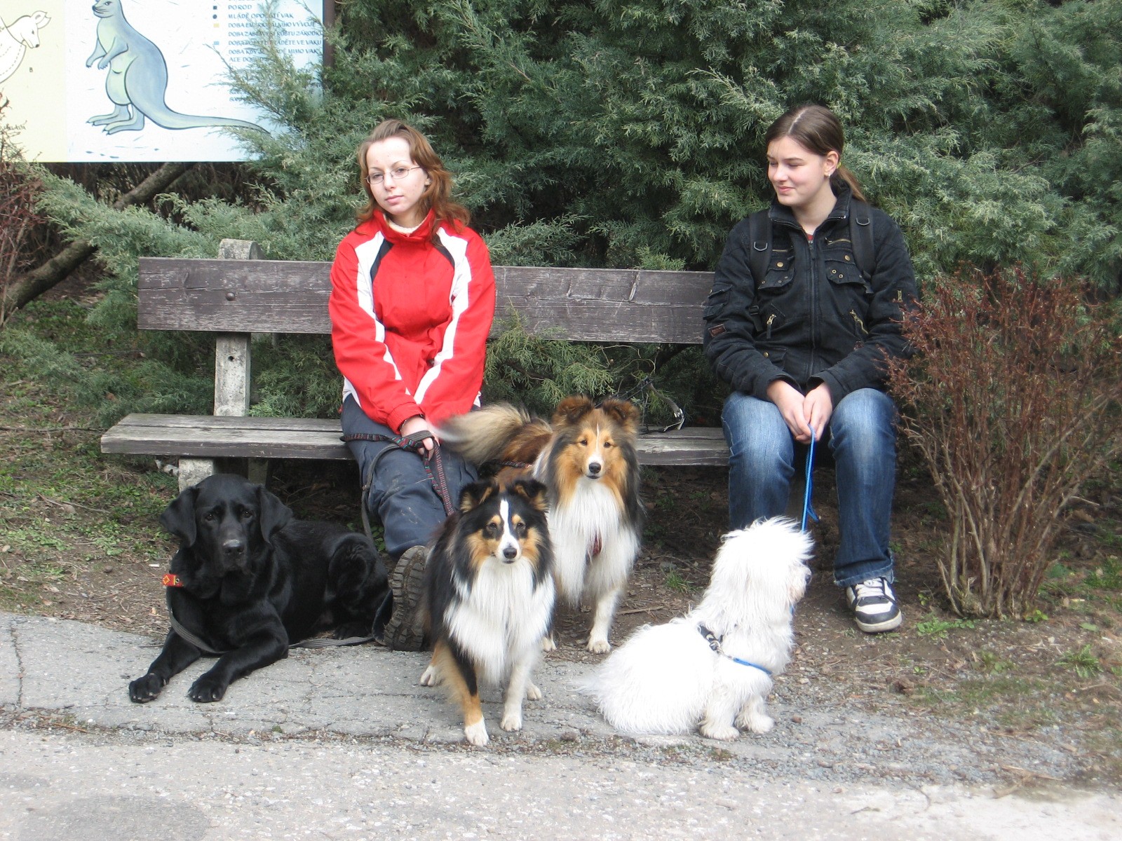 ZOO Svatý kopeček-22.3.2008 044.jpg